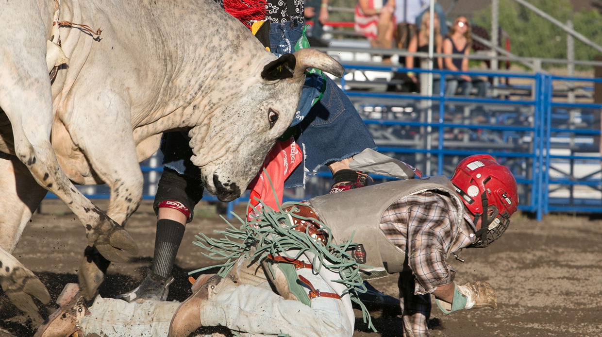 Permit Bull Riding | Steamboat Pro Rodeo